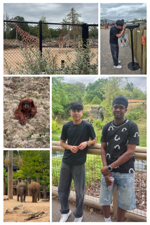 A Fab Day Out at Chester Zoo🍦🐒🐘